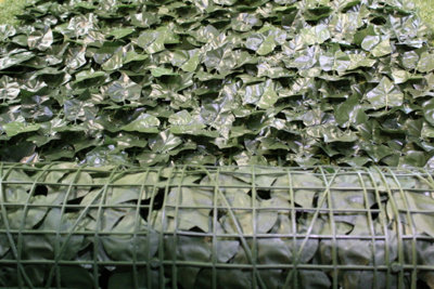 Best Artificial 3m x 1.5m ( One 3m x 1m roll & 0ne 3m x 0.5m rolls) English Ivy Leaf Screening  Hedging Roll - UV Protected