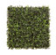 Best Artificial 50cm x 50cm Boxwood Topiary Mat Hedging Panel