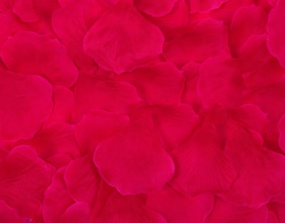 Best Artificial Silk Rose Petals / Fuchsia