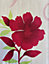 Bethany Red Floral Duvet Cover Set Reversible Zig Zag Bedding