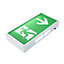 Biard 3W LED Emergency Exit Sign Maintained/Non-Maintained - Down Arrow