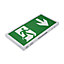 Biard 5W Slim LED Emergency Exit Sign Maintained/Non-Maintained - Down Arrow