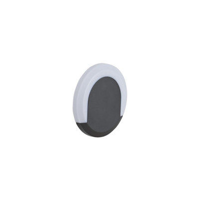 Biard Crescent Halo LED Circular Outdoor Wall Light