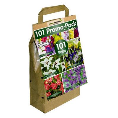 Big Buy Value 101 Promo Pack (101 Bulbs) Bee Friendly