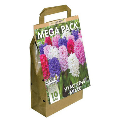 Big Buy Value Pack Hyacinth Bulbs-Mixed Colour (10 Bulbs) Bee Friendly