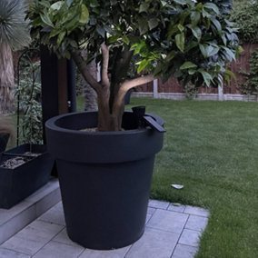Big Plant Pots extra large indoor outdoor planter, garden pot massive tree pot. 430 Litres Anthracite