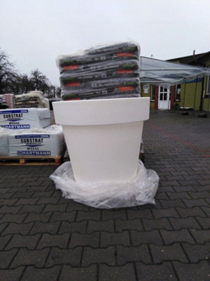 Big Plant Pots. extra large indoor outdoor planter, garden pot massive tree  pot 430 Litres White