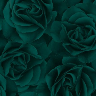 Big Rose Wallpaper In Dark Emerald | DIY at B&Q