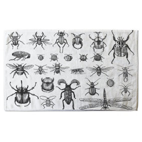 big set of insects bugs beetles and bees, fleas many species in vintage old hand drawn style (Bath Towel) / Default Title