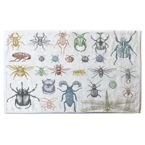 big set of insects bugs beetles and bees many species in vintage old hand drawn style (Bath Towel) / Default Title