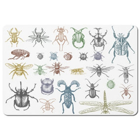 big set of insects bugs beetles and bees many species in vintage old hand drawn style (Placemat) / Default Title