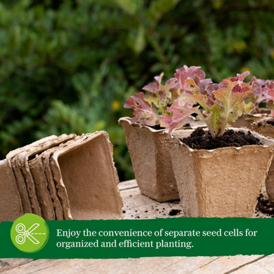 Biodegradable Seed Trays 10 x 24 Pack with Plant Labels, 240-Cell Germination Trays for Seedlings, Cuttings, and Transplanting