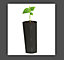Biodegradable Seedling Grow Tubes Vitax 3 packs of 20 Tap Rooting Plants Veg 6cm