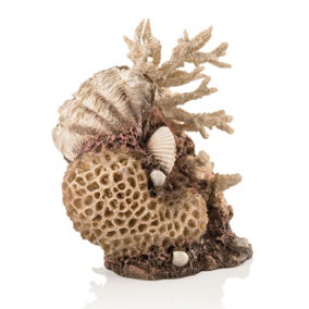 Biorb 48360 Coral Shell Ornament Natural