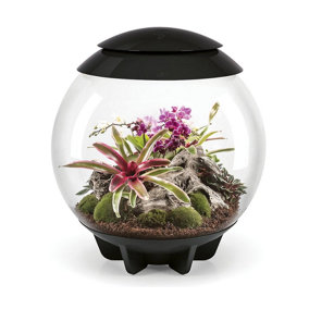 BiOrb AIR 60 Litre Automatic Terrarium in Black with LED Lighting