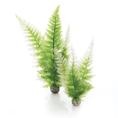 biOrb Easy Plant Winter Fern, Medium Price Comparisons | Compare The Build