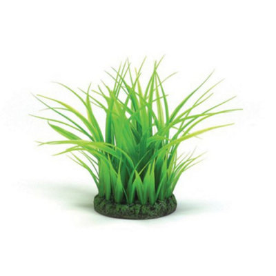 biOrb Grass Ring, Small, Green Price Comparisons | Compare The Build