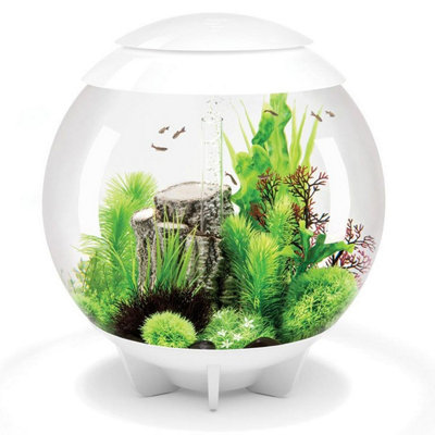 BiOrb Halo 60L Aquarium Fish Tank in White with MCR LED Lighting