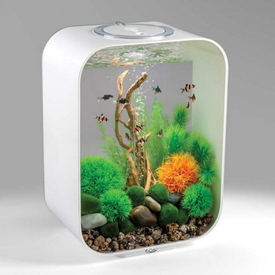 Life aquarium outlet tank