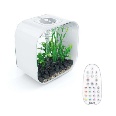 biorb-life-30l-aquarium-fish-