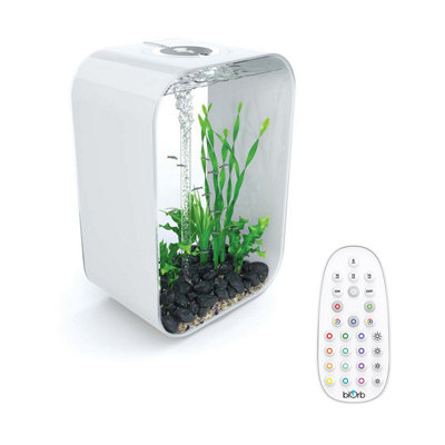 biorb-life-60l-aquarium-fish-