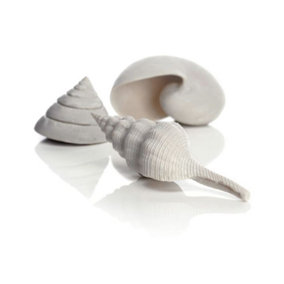 biOrb Samuel Baker Sea Shells, White