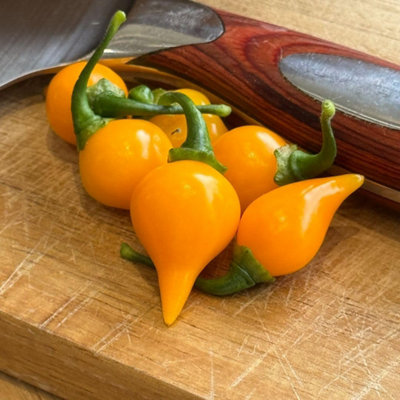 Biquinho Yellow Chilli Pepper Seeds - Mild Fruity Brazilian Variety ...