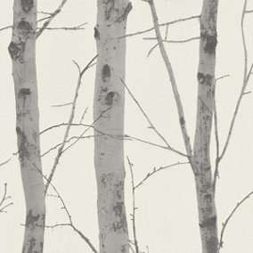 Birch Trees Wallpaper Cream / Grey Erismann 5433-47
