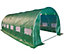 Birchtree Polytunnel 6m x 3m Quality 6 Section Greenhouse Galvanised Frame Pollytunnel