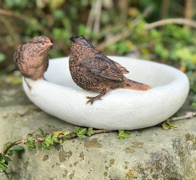 Bird Bath or feeder, aged stone effect bowl with 2 decorative bronze effect wrens. Ideal bird lover gift.