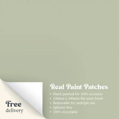 Bird Song Paint Patch Flat Matt Sample