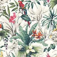 Birds of Paradise Wallpaper Multi Accessorize 275208