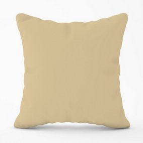 Biscuit Brown Cushions 45cm x 45cm