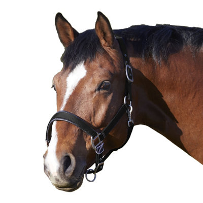 Bitz Deluxe Padded Horse Headcollar Black (Full) Price Comparisons | Compare The Build