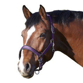 Bitz Deluxe Padded Horse Headcollar Purple (Pony)