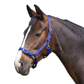 Bitz Everyday Adjustable Horse Headcollar Navy (Cob)