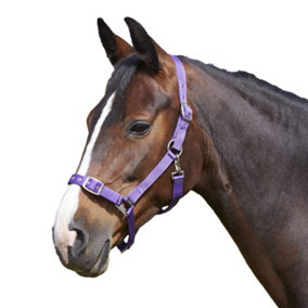 Bitz Everyday Adjustable Horse Headcollar Purple (Full)