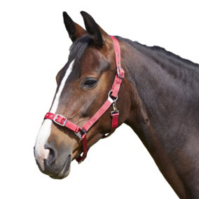 Bitz Everyday Adjustable Horse Headcollar Red (Pony)