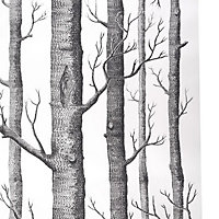 Black 3D Forest Effect Non Woven Patterned Wallpaper Roll 5.3m²