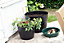 Black Barrel Planter Round Plastic Plant Pot 34cm Patio Garden Flower Tub