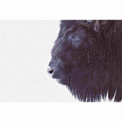 Black Buffalo Mural Design 400cm x 270cm