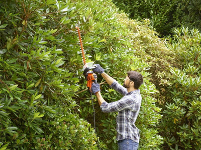 Buy BLACK + DECKER Strimmer GTC18452PC Cordless Hedge Trimmer with