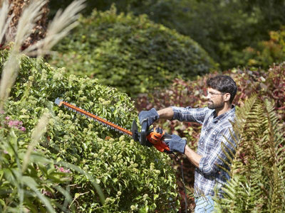 Buy BLACK + DECKER Strimmer GTC18452PC Cordless Hedge Trimmer with 1 Battery