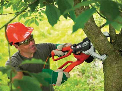 Alligator lopper from Black and Decker sold electric