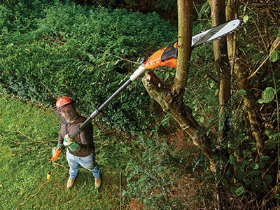 BLACK+DECKER Pole Saws at