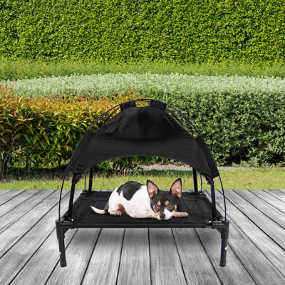 Elevated small dog bed hotsell