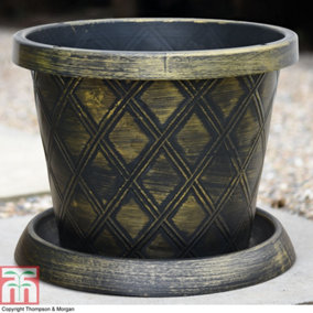 Black & Gold Patio Pot & Saucer (24 litre) (39cm) Large x 1