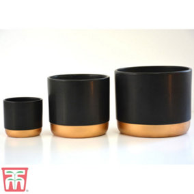 Black & Gold Two-Tone Ceramic Plant Pot