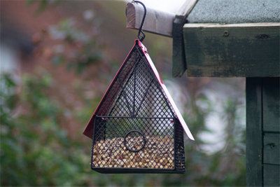 Black Metal Hanging Garden Outdoor Wild Bird House Style Seed Nut Bird Feeder - 4