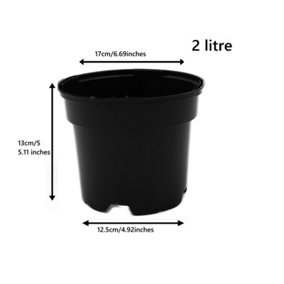 Black Plastic Plant Pot Flower Pots 2 Litres x 10 Pots